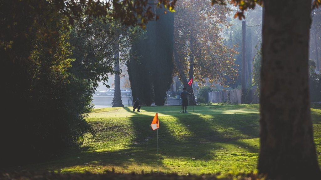 Golfers lining up putts on a shaded practice green at Lake Forest Golf and Practice Center, with sunlight filtering through surrounding trees.